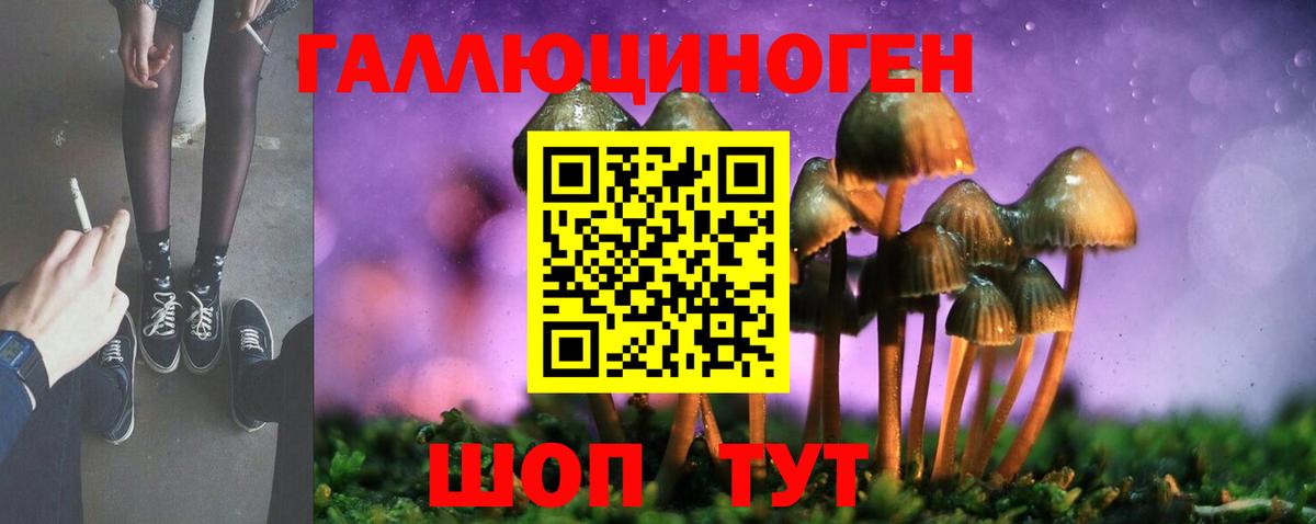 Псилоцибиновые грибы Psilocybe  Вход с VPN  Галлюциногенные грибы GOLDEN TEACHER  купить наркоту  Ликино-Дулёво 